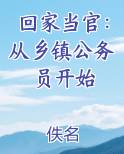 回家当官：从乡镇公务员开始