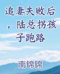 追妻失败后，陆总拐孩子跑路