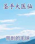 圣手大医仙