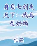 身负七剑走天下：我真是奶妈