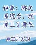 神豪：绑定系统后，我爱上了黄毛
