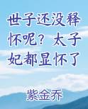 世子还没释怀呢？太子妃都显怀了