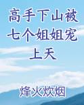 高手下山被七个姐姐宠上天