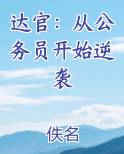达官：从公务员开始逆袭