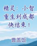 精灵：小智重生到成都快结束！