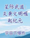 星际武道：炎黄文明崛起纪元