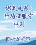 综武反派：开局征服宁中则