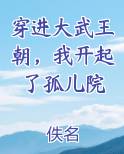 穿进大武王朝，我开起了孤儿院