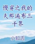 慢穿之我的夫郎遍布三千界