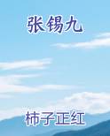 张锡九