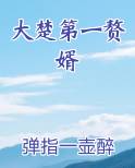 大楚第一赘婿