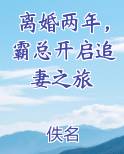 离婚两年，霸总开启追妻之旅