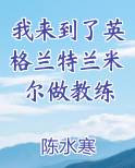 我来到了英格兰特兰米尔做教练