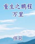 重生之鹏程万里