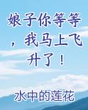 娘子你等等，我马上飞升了！